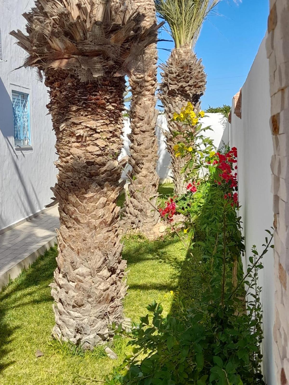 Villa La Palmeraie D'Arkou, Grande Piscine エクステリア 写真